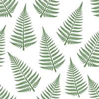Clean Fresh spring fern and moss seamless tile pattern with textured details and natural beauty concept as Textured fern and moss details in soft green shades create a seamless tile patt vector