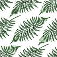 Clean Fresh fern seamless tile pattern with intricate fronds and rich green tones for spring freshness concept as Fresh fern fronds with rich green tones and intricate details create a s vector