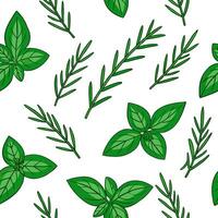 Clean Fresh herb garden seamless tile pattern with green basil thyme and rosemary sprigs for a culinary spring theme concept as Herb sprigs like basil thyme and rosemary form a fresh cul vector