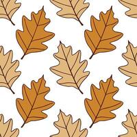 Clean Classic autumn leaves seamless tile pattern with chestnut and oak leaves for timeless fall home decor concept as Chestnut and oak leaves arranged seamlessly in classic autumn color vector