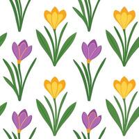 Clean Bright spring garden seamless pattern with crocuses and hyacinths for cheerful garden spaces concept as Cheerful spring garden design featuring crocuses and hyacinths seamlessly ar vector