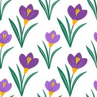 Clean Bright and fresh spring flowers seamless pattern with hyacinths and crocuses for vibrant spaces concept as Fresh hyacinths and crocuses in a seamless floral pattern for spring spac vector