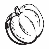 Clean Apple icon with copy space on a white background concept as A image of an apple icon with generous copy space on a white background ideal for promoting healthy eating and nu vector