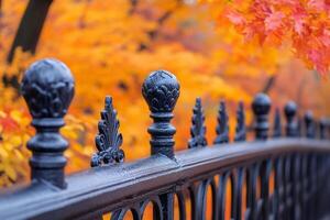 Wrought iron fence with decorative elements stretching along colorful autumn trees photo