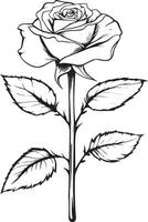Rose clean simple linear outline black illustration vector