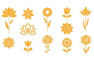 Minimalist flower set with structured layout vector