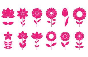 Beautiful flower set with soft details vector