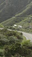 aéreo ver de un agudo giro en un montaña la carretera entre verde bosque arboles carros conducción a lo largo un hermosa montaña la carretera en el isla de tenerife en el Español canarios, vertical imágenes video
