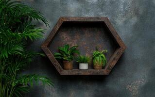 Hexagon shelf with plants on a dark textured wall photo