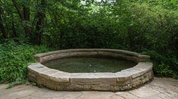 Stone water feature in a lush garden photo