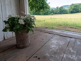 White flowers in a rustic bucket on a porch overlooking a meadow photo