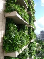 Lush vertical garden on a building facade photo