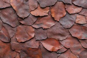 Overlapping brown leaves creating a textured background photo