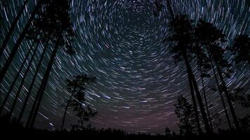 Star trails illuminate the night sky above a serene forest, where tall trees stand silhouetted. The image captures the beauty of celestial movement during a clear night. video