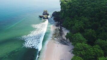 cênico Padang Padang de praia com oceano ondas, zangão Visão dentro bali video
