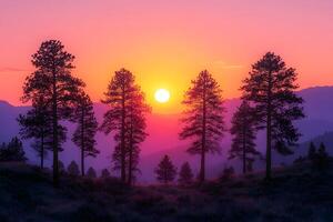 Sunset Serenity Through Pine Trees in Peaceful Mountain Wilderness photo
