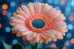 Vibrant Pink Gerbera Daisy with Bokeh Background for Spring Decor and Nature Art photo