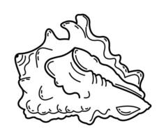 Shell pattern in contours. Sketch, outline in black and white on a white background. vector