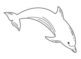 Dolphin sketch, black and white image, outline. vector