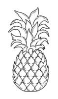 Pineapple image. Sketch, outline in black and white. vector