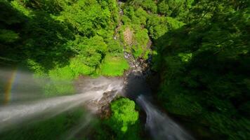 Dynamic FPV Drone Dive Near The Cascading Sekumpul Waterfall, Bali, Indonesia. video