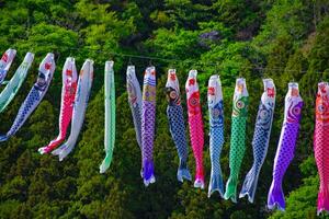 Carp streamers at Ryujin big bridge in Ibaraki daytime sunny photo