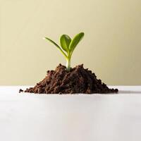 Small plant sprouting from piece of soil on light beige background. photo