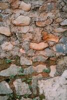 Stone Wall Texture photo