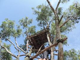 a man climbing up a tree house with a ladder photo