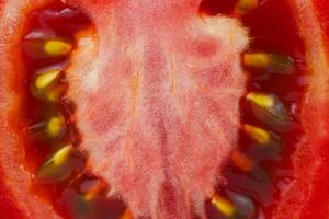 Juicy red tomato slice flesh seeds and textures. Close-up on the inner side of a slice of fresh tomato, pulp structure. photo