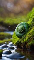 Green snail shell on mossy surface near water with blurred natural background photo