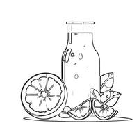 citrus realistic splash white color vector