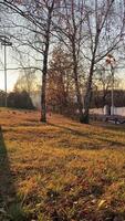 Sunset drones glide through autumn forest near trees and park trails video