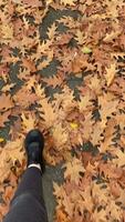 Walking through autumn leaves, a calming journey on leafcovered pathway video