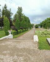 A park with a brick walkway and a bench photo