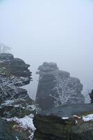 Rock formation on the Grosser Zschirnstein, in snowfall with a tree in the fog photo