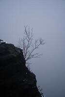 Rocky outcrop of the Grosser Zschirnstein with a single tree in the fog photo