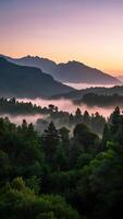sunrise over the mountains and trees in the mist photo
