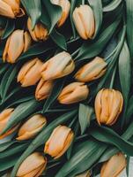 A beautiful arrangement of yellow tulips surrounded by fresh green leaves showcases the essence of spring. Softly illuminated, the flowers radiate warmth and joy, perfect for any occasion photo