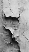 Textured concrete surface reveals cracks and uneven patches, emphasizing an abstract aesthetic that highlights the passage of time and natural erosion photo