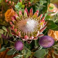 A breathtaking close-up reveals the intricate details of a large king protea surrounded by vibrant purple thistles and lush green foliage, showcasing nature's artistry and beauty photo