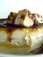 This decadent dessert features layers of silky bavarian cream topped with a generous drizzle of rich chocolate sauce, creating a perfect treat for any occasion photo