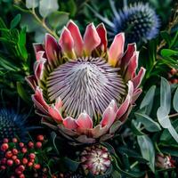 A breathtaking bouquet captivates the eye with its prominent king protea, surrounded by rich foliage and unique blue thistle accents. The colors burst forth, inviting admiration photo