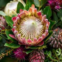 Captivating close-up showcasing a beautiful protea in pink hues, nestled among vibrant foliage and other blooms, embodying the essence of spring's beauty and vitality photo