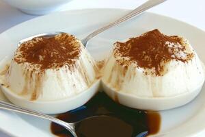 Silky, smooth Bavarian cream sits elegantly on a plate, topped with velvety chocolate sauce and a dusting of cocoa. Perfectly served for a sweet ending to any meal photo