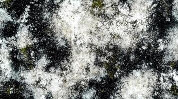 Displaying a textured concrete surface, this abstract background features a blend of black and white tones with subtle hints of green, showcasing natural wear and irregular patterns photo