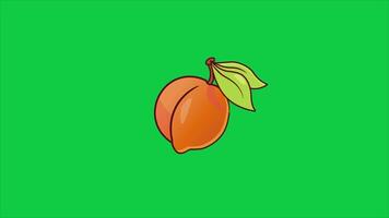Peach with green leaf simple 2d animation green screen background video