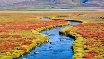 Serpentine River Flowing Through Red And Green Vegetation photo