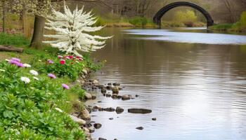 Serene Spring River Scene with Blooming Flowers and Stone Arch Bridge photo