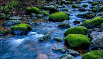 Serene Stream Flowing Over Mossy Rocks photo